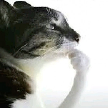 53tokin's avatar