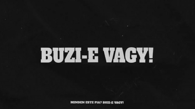 YT -  Solaris Trollino - KöltőTroll   Buzi-e vagy, SoDI! (AI Cover)