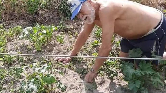 Markó Gergely: Fulucke gyomlálja a tököt (archív, 2022 06 21)
