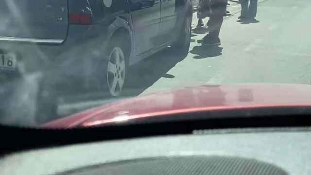 Tibi spotting - Ételosztáson várakozik a tranyó 2024. 05. 15. (délelőtt)