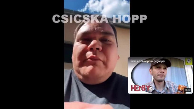 Herby - Patkány invázió Sümegen, szektatagok tették rendbe a házát, mert rászóltak irtsa ki a gazt