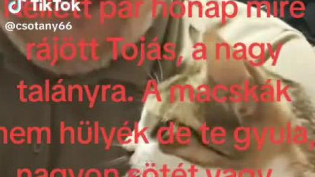 A nagyrábéi állatidomár magyarázata a házba bekulázott cicáról