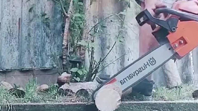 Trutymó balfasz szakszerűen vágja a fát