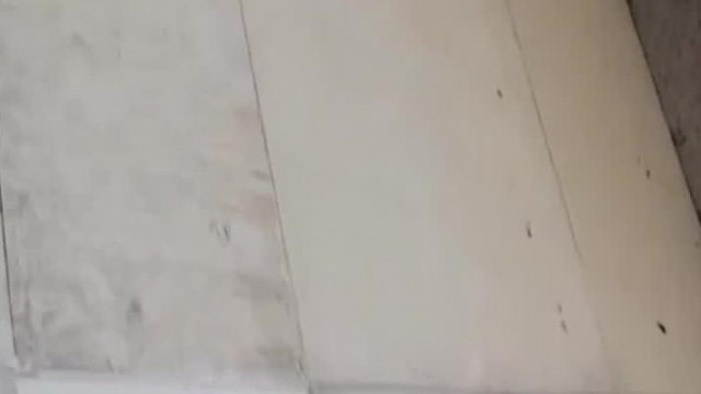 Krumpli fejű ősember Jenest leteperték a rendőrök. Tiktok live részlet 2024.08.15
