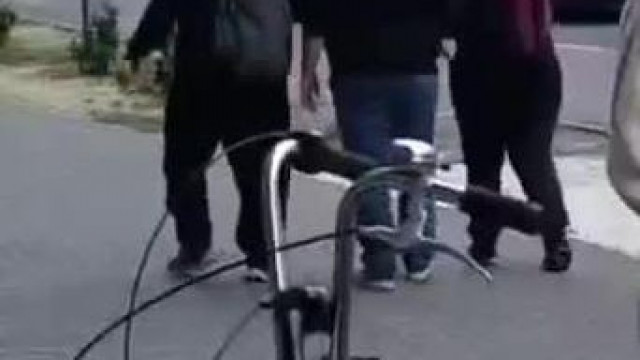 Tojás régebbi spotting a felszopókkal - Gyuluska úgy lépked, mint egy teleszart parkolóautomata