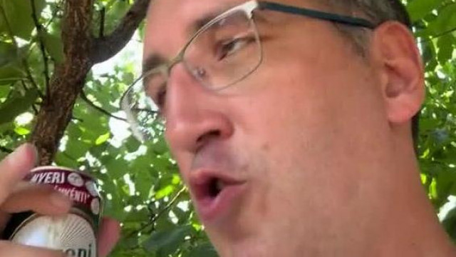 Veknifejű Pedo SoDI le akart menni szegedre de meggondolta magát