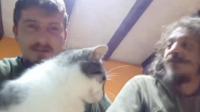 Kacser macska dumák