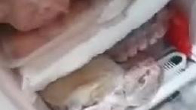 Retro Rugós Brekeke: Gyűlölködős hűtő flex libamájjal