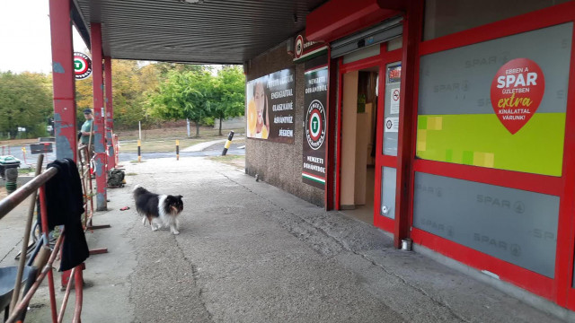 Hári Tranyó Dániel Újabb verése + kivont autó