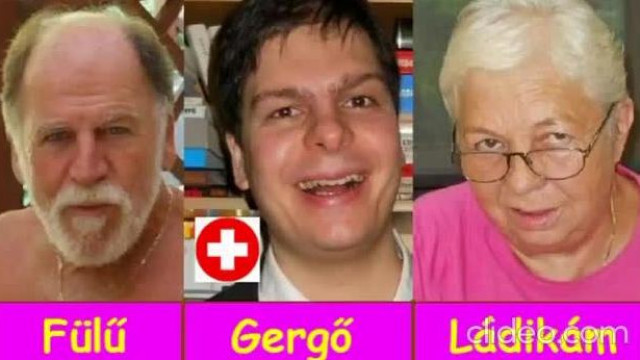 skizogeri és a csótány