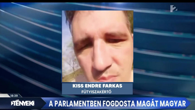 Sodi a tv2 sokat látott fütyiszakértője (paródia)
