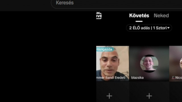 Dögevő gammercibbány Májasról értekezik