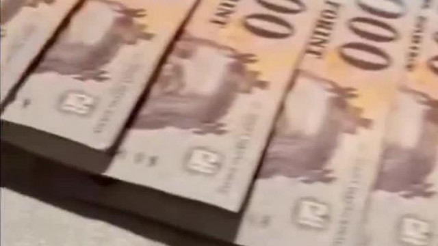 A nárcisztikus Pedó tojás kevesli a Tik-Tok-on összekoldult 150 ezret