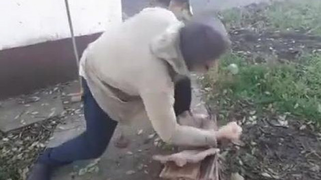 Rucu bá "mester" haverja cserepet tör karral +majdnem karját is a cseréppel