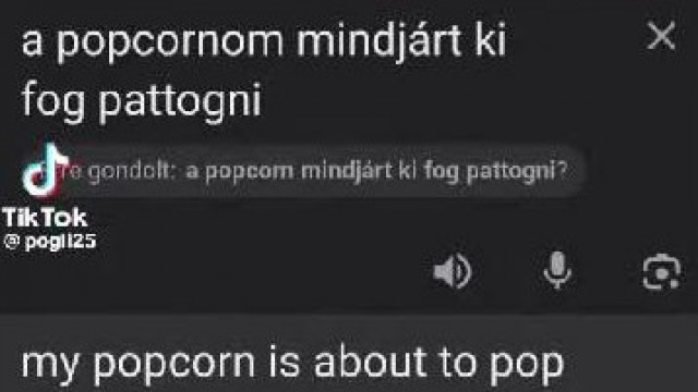 Vers Biós Pityesszel - tiktok paródia