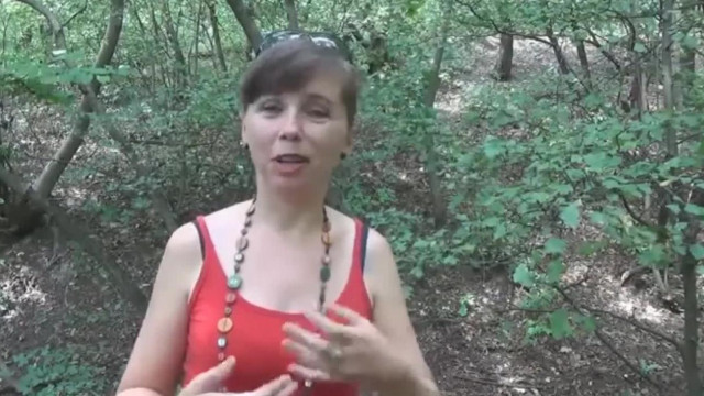 (Vulgáris) Proli Lili paródia