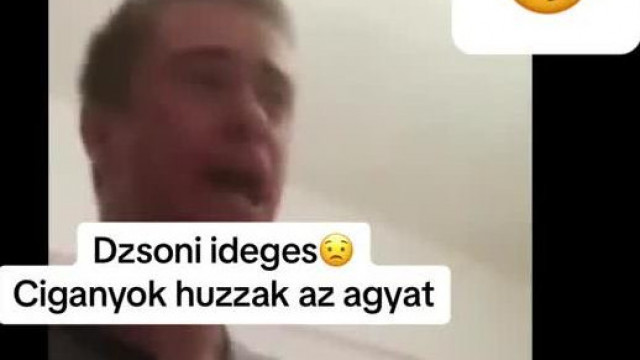 Kis Dzsuni ház szétverős idegbeteg kitörés