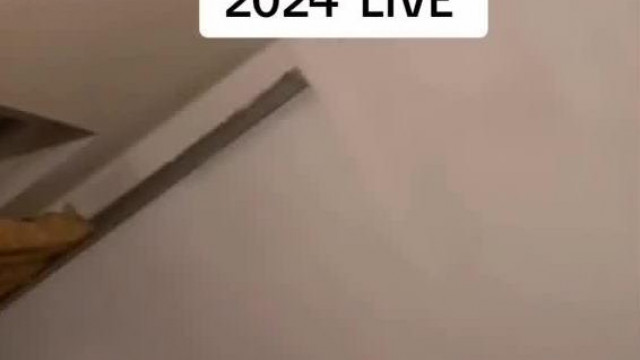 Mocskos szájú Rozikanéninek boldog újévet kíván egy troll (2024. Január 1.)