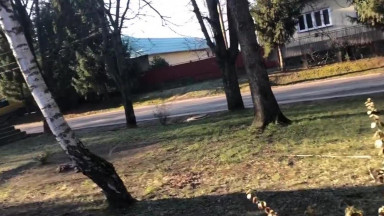 Fitymaffiakirály Sam: Zsámboki téboly (2020 02.09.)