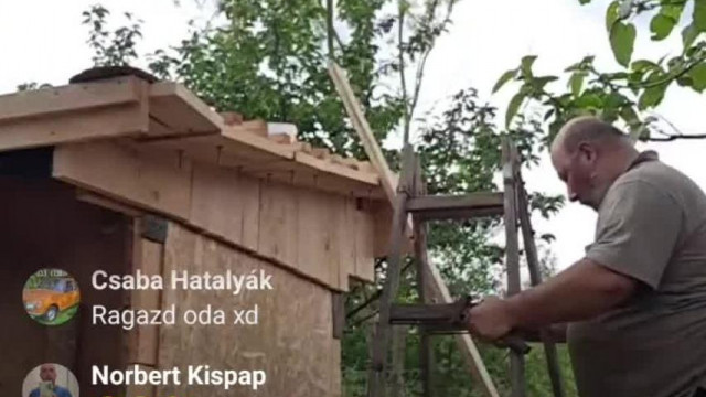 GyerekVadász Mekkmester Gyula - Tyúkputri építős live (2025. Május 20)