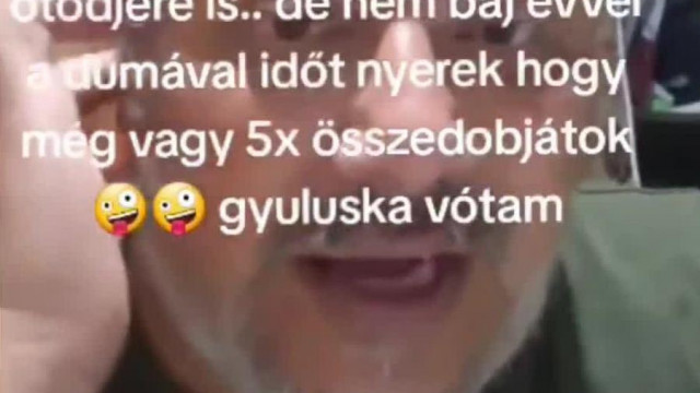 Pedó tojás ismét átbaszta a felszopókat, mint mindig - Tyúk projekt elnapolva