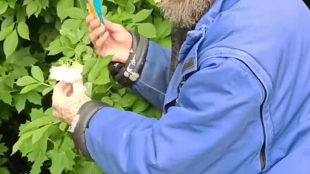 Bartosista Dösszert: Virág evès Lejárt szavidejű Puding porral