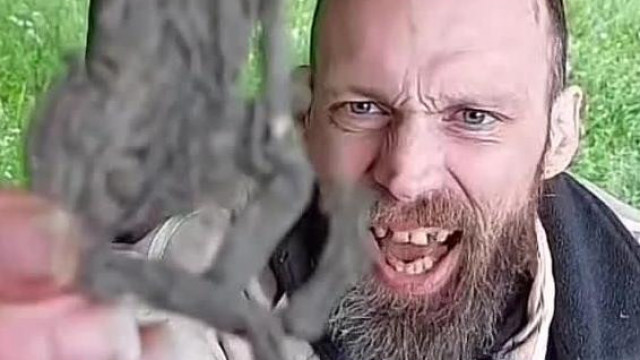 BartosMöster igazi ínyenc: kilapított, száraz békatötemet eszik (olyan mint a csipsz)