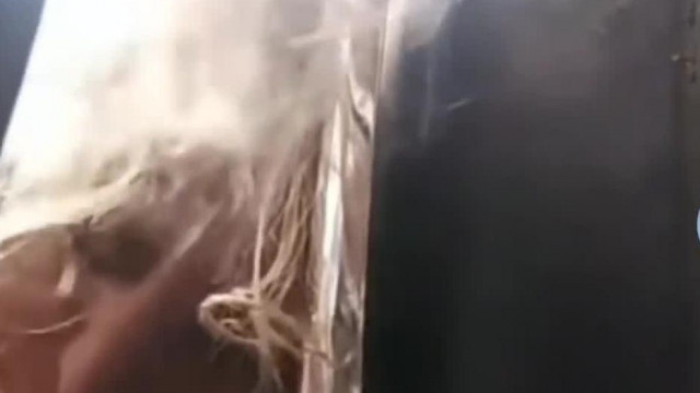 A totál bemindenezett tranyó Tibit próbálja felkelteni egy alkalmazott, sikertelenül