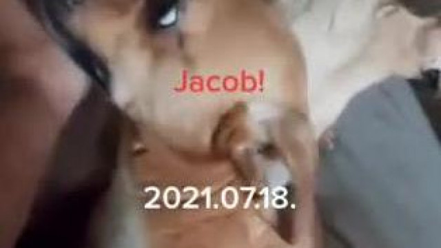 Vadász Gyula megkínzott kutyái még cuki kölyök korukban A három amígó 2021 07.18.
