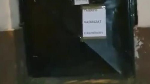 A rajongók ajándékot vittek Tibinek (2020 09.26.)