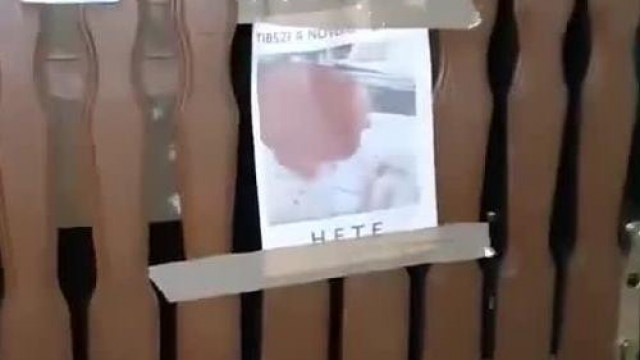 A nőverő Tibicédiusz házát ismét meglátogatták a trollok (2020 10.15.)