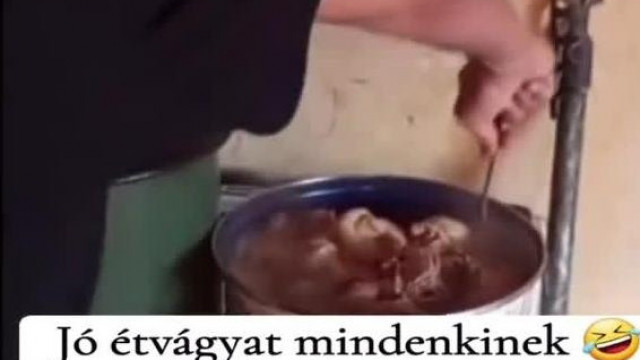 Nájk család és a sündisznó pörkölt