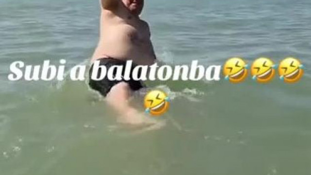 Szőrös Yeti-Hátú SubiSertés Lògò Malacbéllel ès Anyakoca csöcsökkel pancsol a Balatonban