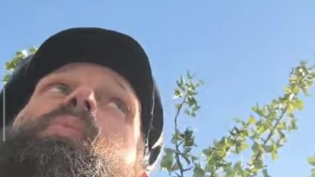 Bartos nokedli felszopók társaságában darazsat és tücsköt eszik (2025. július 30. TikTok live részlet)
