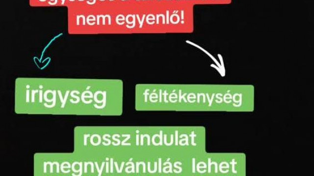 Melegmacitibi semmit mondó meglátásai, zagyvaságai