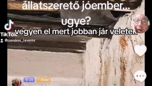 Még mindig állatbarát a Gyula