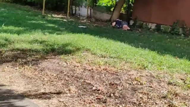 Ősember megpihen egy fa tövében - Jenes spotting 2025.09.21