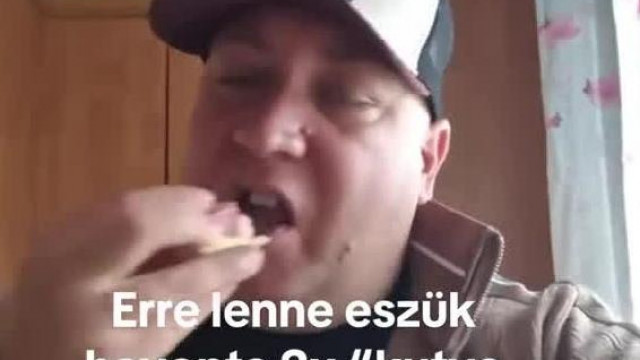Panteráék ismét kihasználják az emberek jóindulatát. Most azzal vezetik meg az embereket ,hogy kutyamenhelynek gyűjtenek