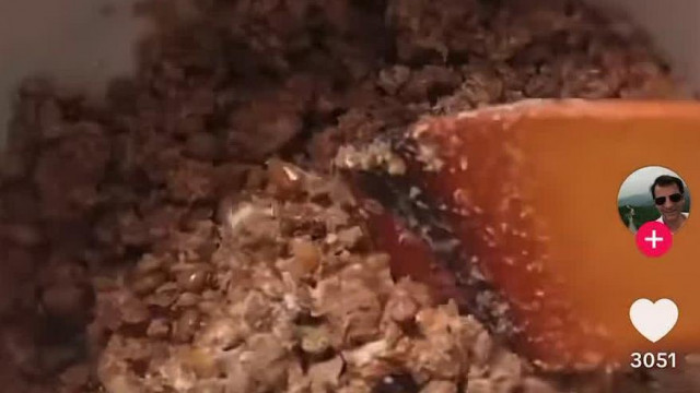 Trash konyha - Sabkelemen elrontott kutyakajára emlékeztető lencsefőzeléke