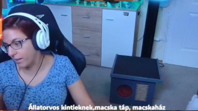 Trógerbunnyinrage munka helyett kaszinózva koldul fűtésre és állatorvosra macskaszaros felsőben