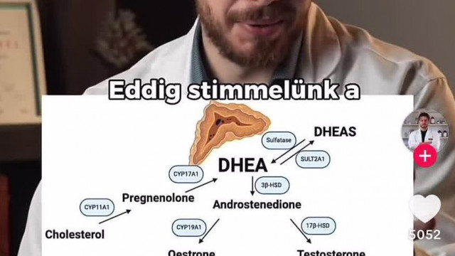 Dr Köröskényit elemzi dr Pető Botond gyógyszerész 2.rész