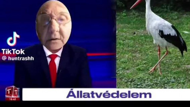 Tények Rozika nénivel (paródia)