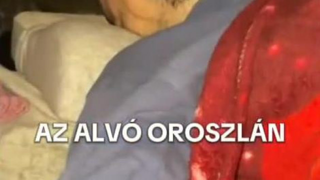 A Liszteszsàk fejű Menyasszony levideòzza a Ritka undorìtò Túrit ahogy alszik