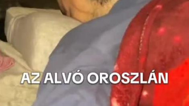 A Liszteszsàk fejű Menyasszony levideòzza a Ritka undorìtò Túrit ahogy alszik