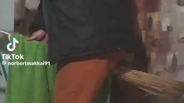 Tojás Potter