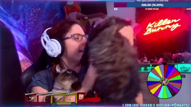 Koldus Szanyó Beatrix, a kéregető Twitch streamer felhasználja a macskákat a műsorhoz, de bűdos az egyik
