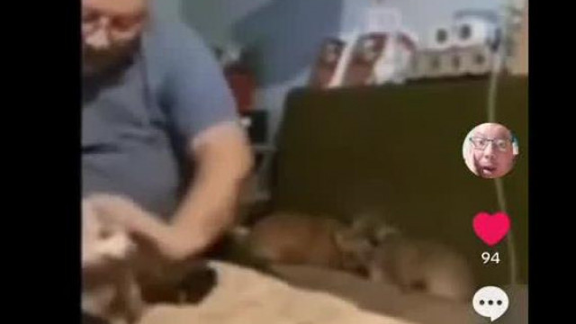 Pedofil Vadász Gyula - Állatkínzós és ordibálós montázs