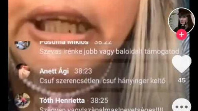 Undormányfejű Varga Irén és a politika