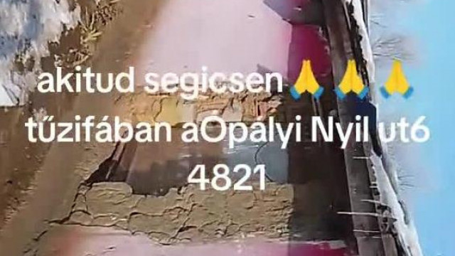 A Nájk család tűzifát szeretne “akitud segicsen”