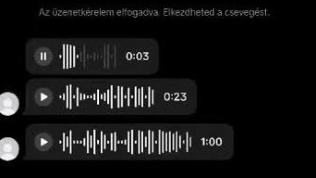 Mc Isti gyerekb@szó, elélvezést imitáló, szarozó, anyázó, spermázó hangüzenete